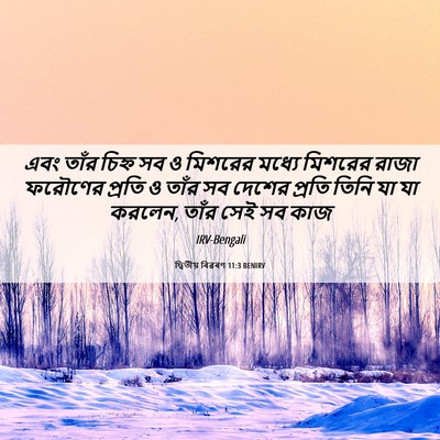 Picture 06 - দ্বিতীয় বিৱৰণ 11:3 BENIRV - এবং তাঁর চিহ্ন সব ও - Bible Verse Picture