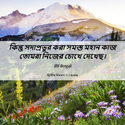 Picture 06 - দ্বিতীয় বিৱৰণ 11:7 BENIRV - কিন্তু সদাপ্রভুর - Bible Verse Picture