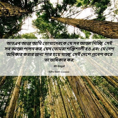 Picture 06 - দ্বিতীয় বিৱৰণ 11:8 BENIRV - অতএব আজ আমি - Bible Verse Picture