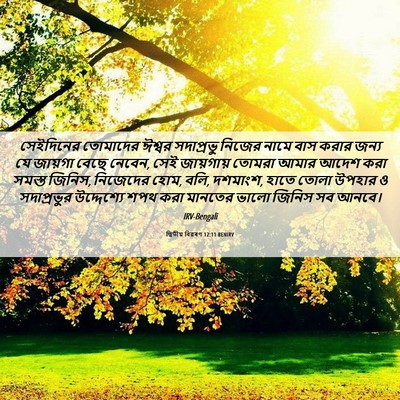 Picture 06 - দ্বিতীয় বিৱৰণ 12:11 BENIRV - সেইদিনের তোমাদের - Bible Verse Picture