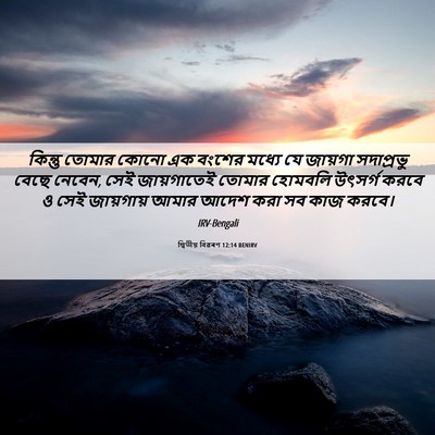 Picture 06 - দ্বিতীয় বিৱৰণ 12:14 BENIRV - কিন্তু তোমার কোনো - Bible Verse Picture