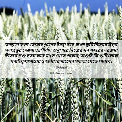 Picture 06 - দ্বিতীয় বিৱৰণ 12:15 BENIRV - তাছাড়া যখন তোমার - Bible Verse Picture