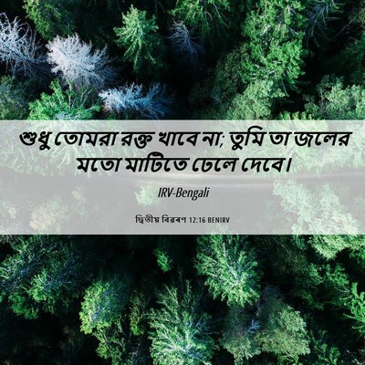 Picture 06 - দ্বিতীয় বিৱৰণ 12:16 BENIRV - শুধু তোমরা রক্ত - Bible Verse Picture