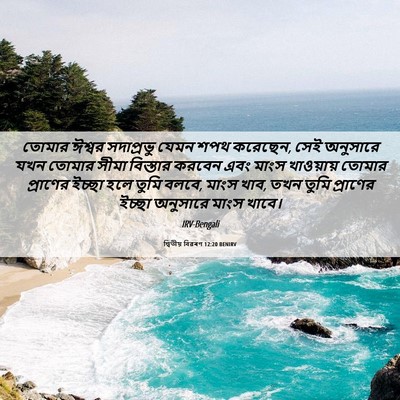 Picture 06 - দ্বিতীয় বিৱৰণ 12:20 BENIRV - তোমার ঈশ্বর - Bible Verse Picture
