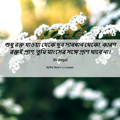 Picture 06 - দ্বিতীয় বিৱৰণ 12:23 BENIRV - শুধু রক্ত খাওয়া - Bible Verse Picture