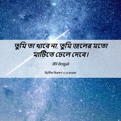 Picture 06 - দ্বিতীয় বিৱৰণ 12:24 BENIRV - তুমি তা খাবে না, - Bible Verse Picture