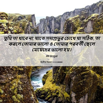 Picture 06 - দ্বিতীয় বিৱৰণ 12:25 BENIRV - তুমি তা খাবে না; - Bible Verse Picture