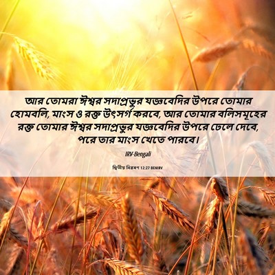 Picture 06 - দ্বিতীয় বিৱৰণ 12:27 BENIRV - আর তোমরা ঈশ্বর - Bible Verse Picture