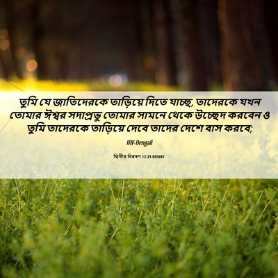 Picture 06 - দ্বিতীয় বিৱৰণ 12:29 BENIRV - তুমি যে জাতিদেরকে - Bible Verse Picture