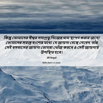 Picture 06 - দ্বিতীয় বিৱৰণ 12:5 BENIRV - কিন্তু তোমাদের - Bible Verse Picture