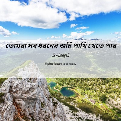 Picture 06 - দ্বিতীয় বিৱৰণ 14:11 BENIRV - তোমরা সব ধরনের - Bible Verse Picture