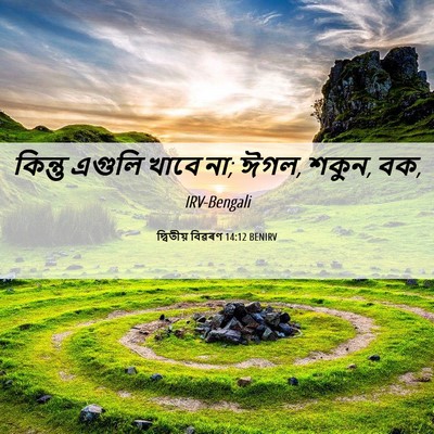 Picture 06 - দ্বিতীয় বিৱৰণ 14:12 BENIRV - কিন্তু এগুলি খাবে - Bible Verse Picture