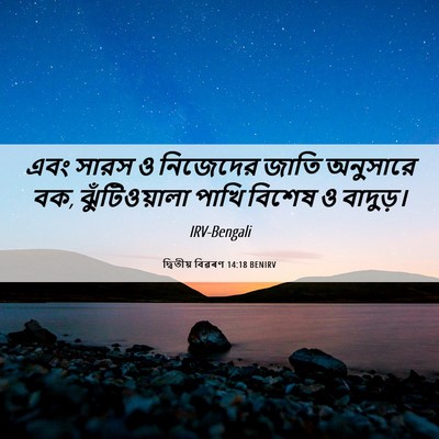 Picture 06 - দ্বিতীয় বিৱৰণ 14:18 BENIRV - এবং সারস ও নিজেদের - Bible Verse Picture
