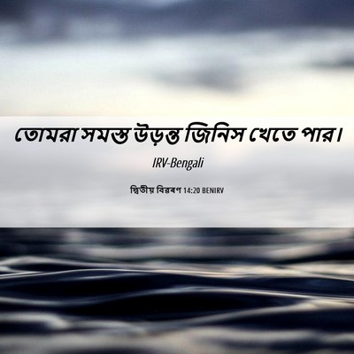 Picture 06 - দ্বিতীয় বিৱৰণ 14:20 BENIRV - তোমরা সমস্ত - Bible Verse Picture