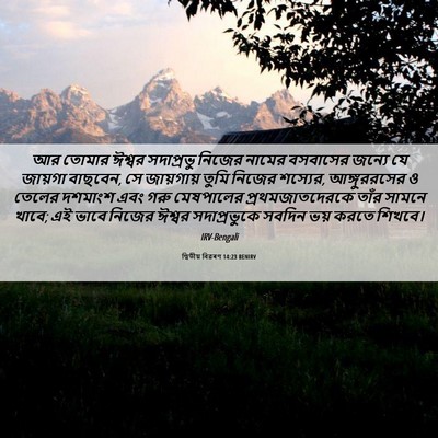 Picture 06 - দ্বিতীয় বিৱৰণ 14:23 BENIRV - আর তোমার ঈশ্বর - Bible Verse Picture