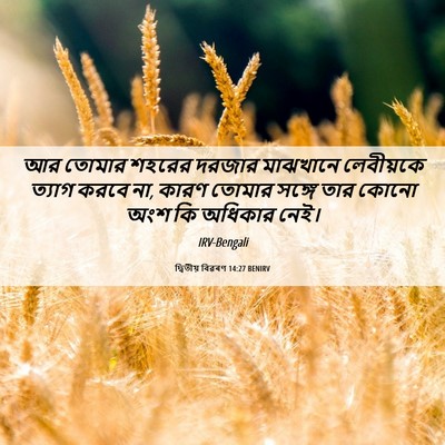 Picture 06 - দ্বিতীয় বিৱৰণ 14:27 BENIRV - আর তোমার শহরের - Bible Verse Picture