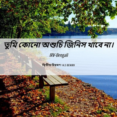 Picture 06 - দ্বিতীয় বিৱৰণ 14:3 BENIRV - তুমি কোনো অশুচি - Bible Verse Picture