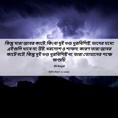 Picture 06 - দ্বিতীয় বিৱৰণ 14:7 BENIRV - কিন্তু যারা জাবর - Bible Verse Picture