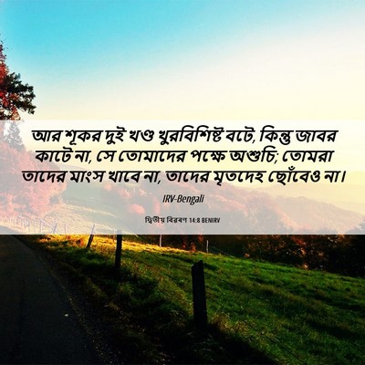 Picture 06 - দ্বিতীয় বিৱৰণ 14:8 BENIRV - আর শূকর দুই খণ্ড - Bible Verse Picture