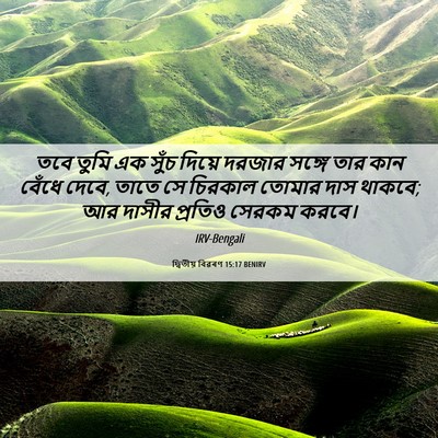 Picture 06 - দ্বিতীয় বিৱৰণ 15:17 BENIRV - তবে তুমি এক সুঁচ - Bible Verse Picture