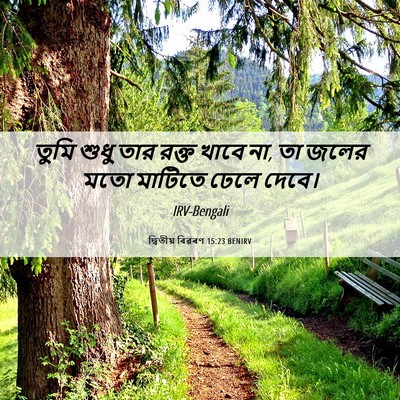 Picture 06 - দ্বিতীয় বিৱৰণ 15:23 BENIRV - তুমি শুধু তার রক্ত - Bible Verse Picture