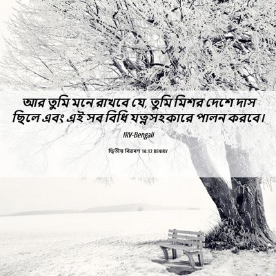 Picture 06 - দ্বিতীয় বিৱৰণ 16:12 BENIRV - আর তুমি মনে রাখবে - Bible Verse Picture
