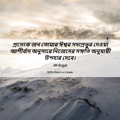 Picture 06 - দ্বিতীয় বিৱৰণ 16:17 BENIRV - প্রত্যেক জন তোমার - Bible Verse Picture