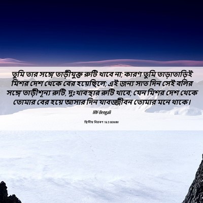 Picture 06 - দ্বিতীয় বিৱৰণ 16:3 BENIRV - তুমি তার সঙ্গে - Bible Verse Picture