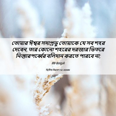 Picture 06 - দ্বিতীয় বিৱৰণ 16:5 BENIRV - তোমার ঈশ্বর - Bible Verse Picture