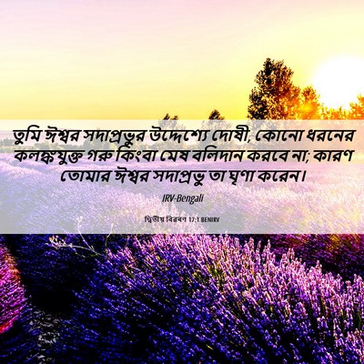 Picture 06 - দ্বিতীয় বিৱৰণ 17:1 BENIRV - তুমি ঈশ্বর - Bible Verse Picture