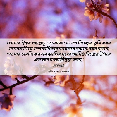 Picture 06 - দ্বিতীয় বিৱৰণ 17:14 BENIRV - তোমার ঈশ্বর - Bible Verse Picture