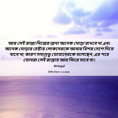Picture 06 - দ্বিতীয় বিৱৰণ 17:16 BENIRV - আর সেই রাজা নিজের - Bible Verse Picture