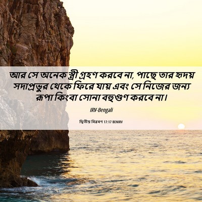 Picture 06 - দ্বিতীয় বিৱৰণ 17:17 BENIRV - আর সে অনেক স্ত্রী - Bible Verse Picture