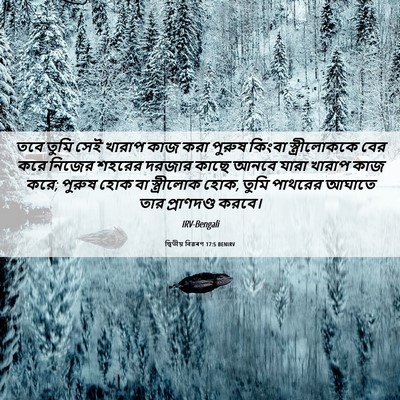 Picture 06 - দ্বিতীয় বিৱৰণ 17:5 BENIRV - তবে তুমি সেই খারাপ - Bible Verse Picture