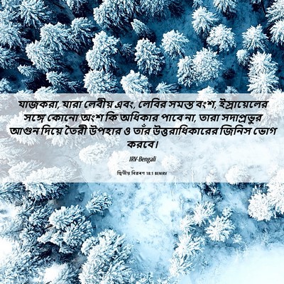 Picture 06 - দ্বিতীয় বিৱৰণ 18:1 BENIRV - যাজকরা, যারা - Bible Verse Picture