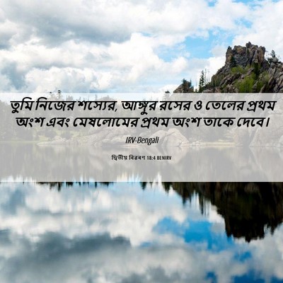 Picture 06 - দ্বিতীয় বিৱৰণ 18:4 BENIRV - তুমি নিজের শস্যের, - Bible Verse Picture