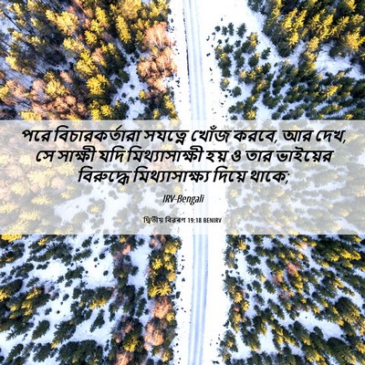 Picture 06 - দ্বিতীয় বিৱৰণ 19:18 BENIRV - পরে বিচারকর্তারা - Bible Verse Picture