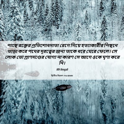 Picture 06 - দ্বিতীয় বিৱৰণ 19:6 BENIRV - পাছে রক্তের - Bible Verse Picture