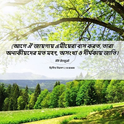 Picture 06 - দ্বিতীয় বিৱৰণ 2:10 BENIRV - (আগে ঐ জায়গায় - Bible Verse Picture
