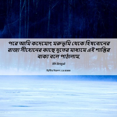 Picture 06 - দ্বিতীয় বিৱৰণ 2:26 BENIRV - পরে আমি কদেমোৎ - Bible Verse Picture