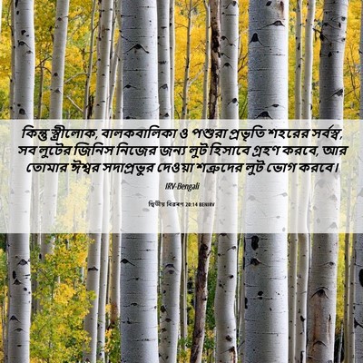 Picture 06 - দ্বিতীয় বিৱৰণ 20:14 BENIRV - কিন্তু স্ত্রীলোক, - Bible Verse Picture