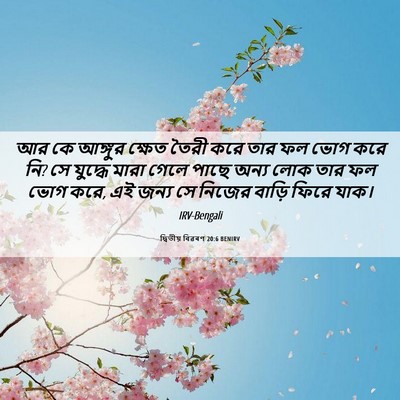 Picture 06 - দ্বিতীয় বিৱৰণ 20:6 BENIRV - আর কে আঙ্গুর ক্ষেত - Bible Verse Picture