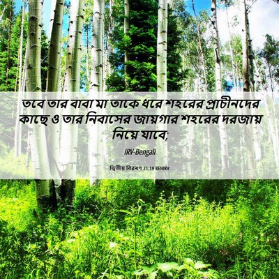 Picture 06 - দ্বিতীয় বিৱৰণ 21:19 BENIRV - তবে তার বাবা মা - Bible Verse Picture