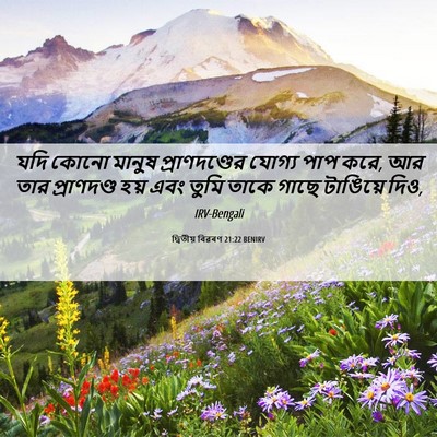 Picture 06 - দ্বিতীয় বিৱৰণ 21:22 BENIRV - যদি কোনো মানুষ - Bible Verse Picture