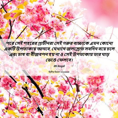 Picture 06 - দ্বিতীয় বিৱৰণ 21:4 BENIRV - পরে সেই শহরের - Bible Verse Picture