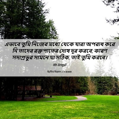 Picture 06 - দ্বিতীয় বিৱৰণ 21:9 BENIRV - এভাবে তুমি নিজের - Bible Verse Picture