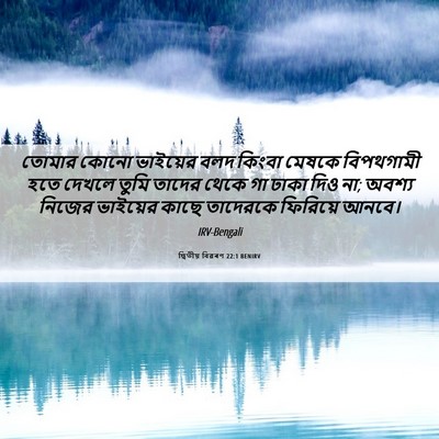 Picture 06 - দ্বিতীয় বিৱৰণ 22:1 BENIRV - তোমার কোনো - Bible Verse Picture