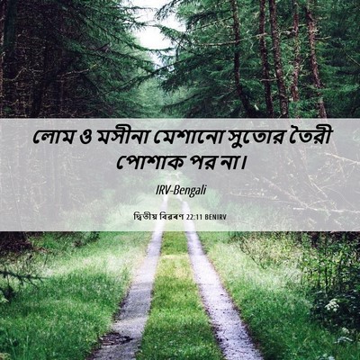 Picture 06 - দ্বিতীয় বিৱৰণ 22:11 BENIRV - লোম ও মসীনা মেশানো - Bible Verse Picture