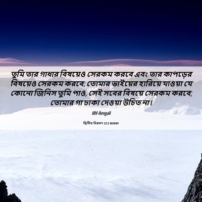 Picture 06 - দ্বিতীয় বিৱৰণ 22:3 BENIRV - তুমি তার গাধার - Bible Verse Picture