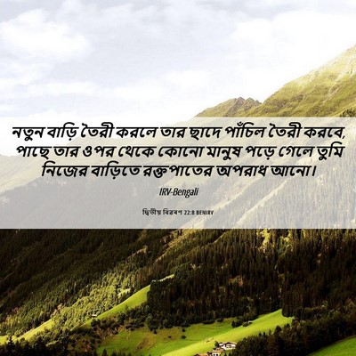 Picture 06 - দ্বিতীয় বিৱৰণ 22:8 BENIRV - নতুন বাড়ি তৈরী - Bible Verse Picture